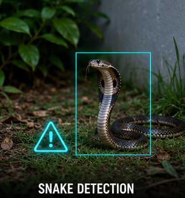 Snake Detection preview